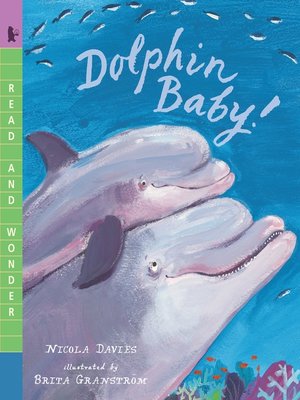 cover image of Dolphin Baby!